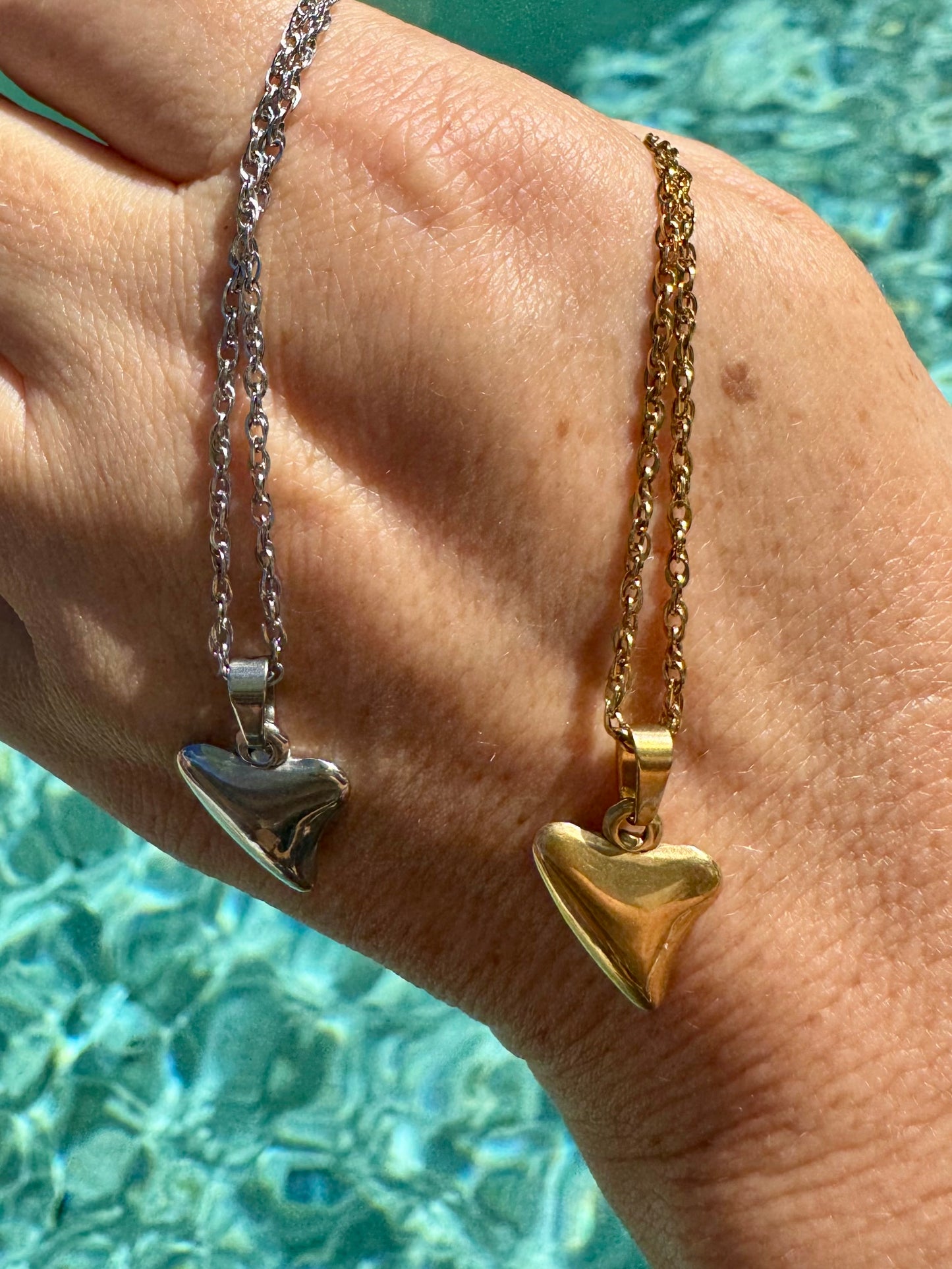 Shark Tooth Necklace