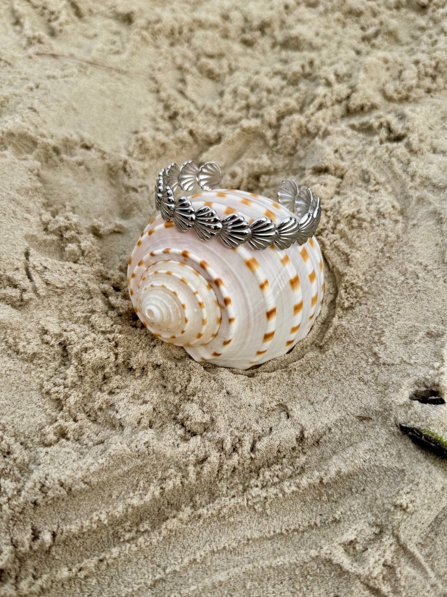 Seashells Bangle