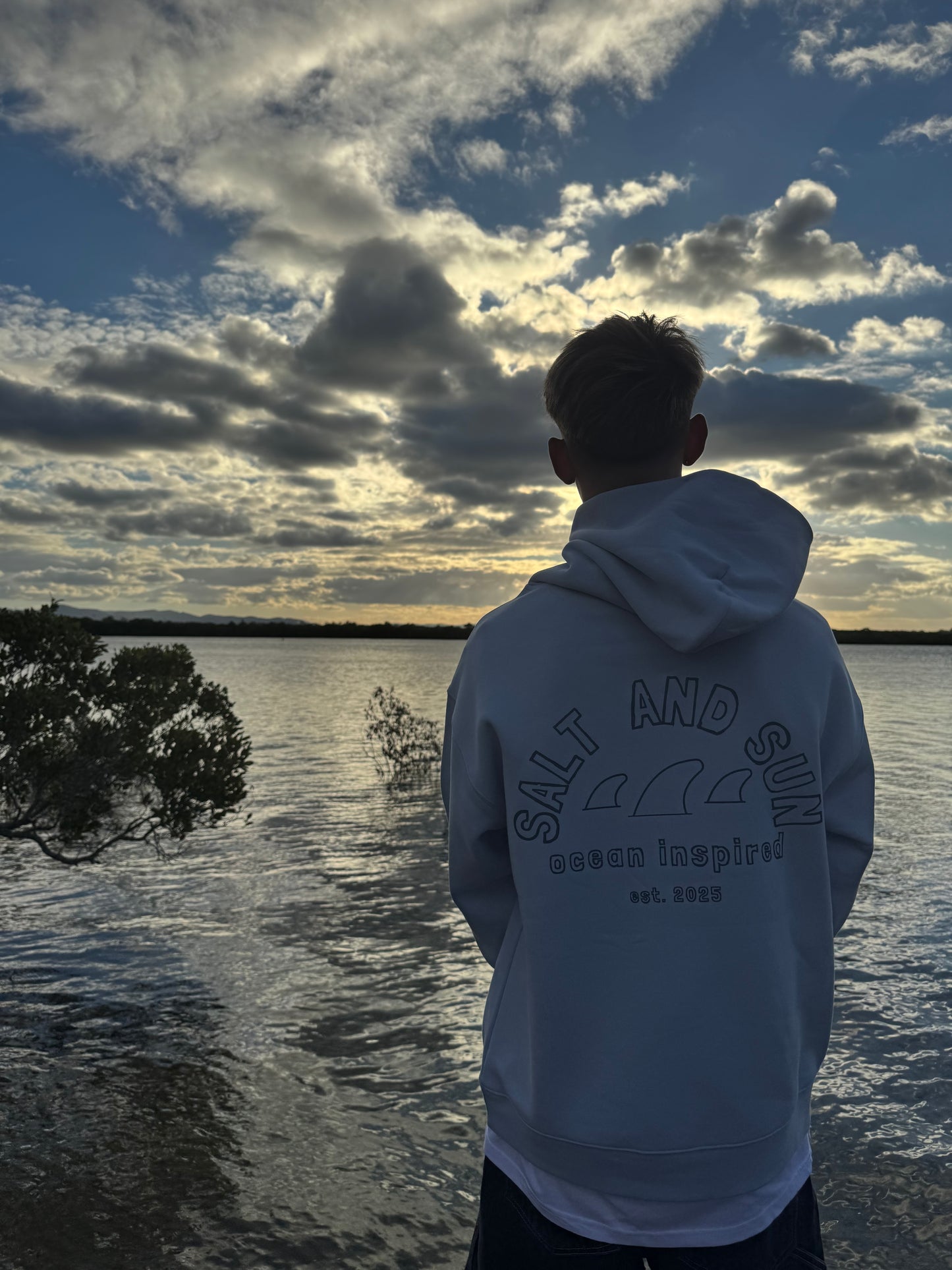 Salt and Sun TL Mens- Fin Hoodie