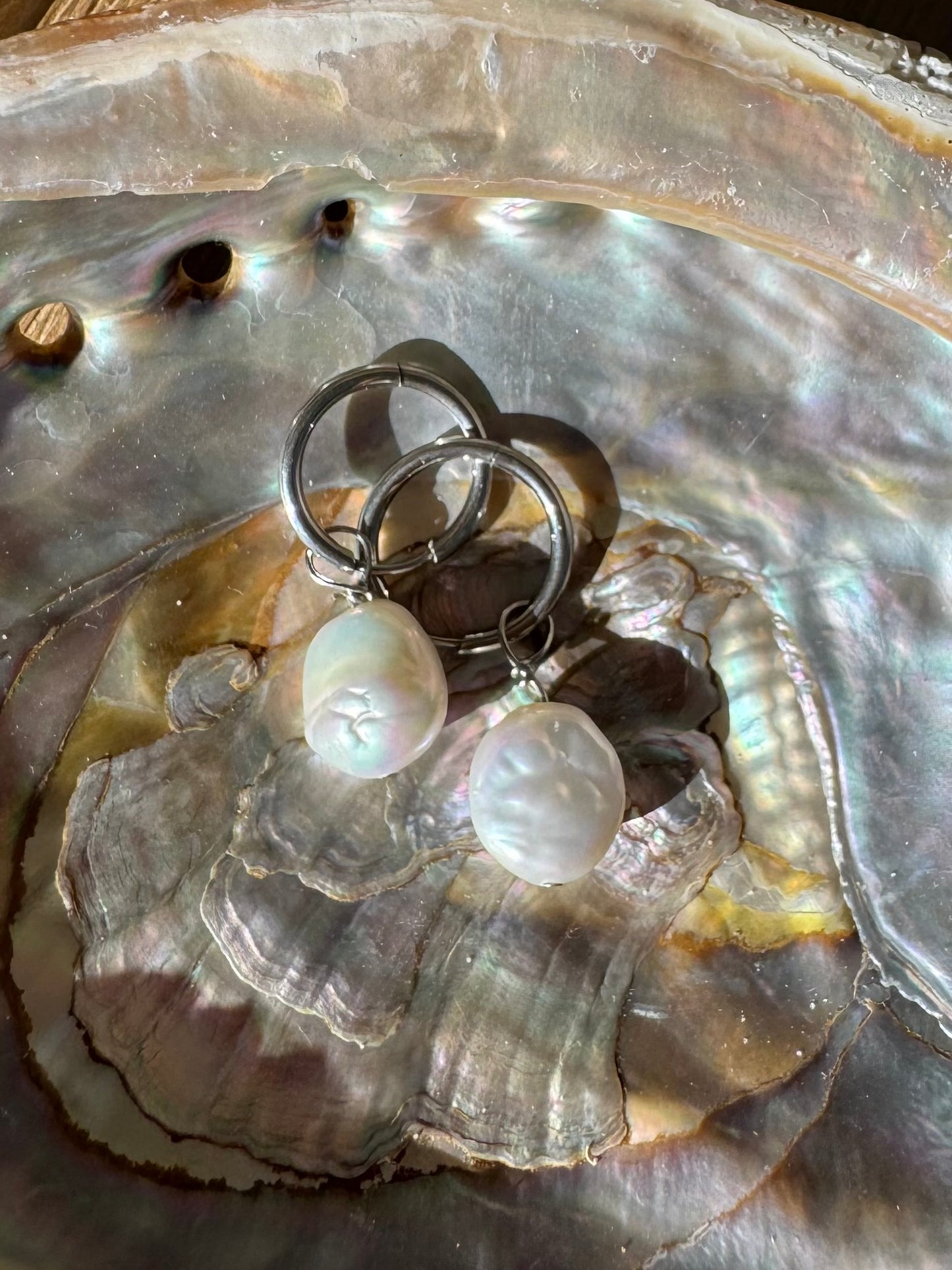 Freshwater Coin Pearl Earrings- Medium