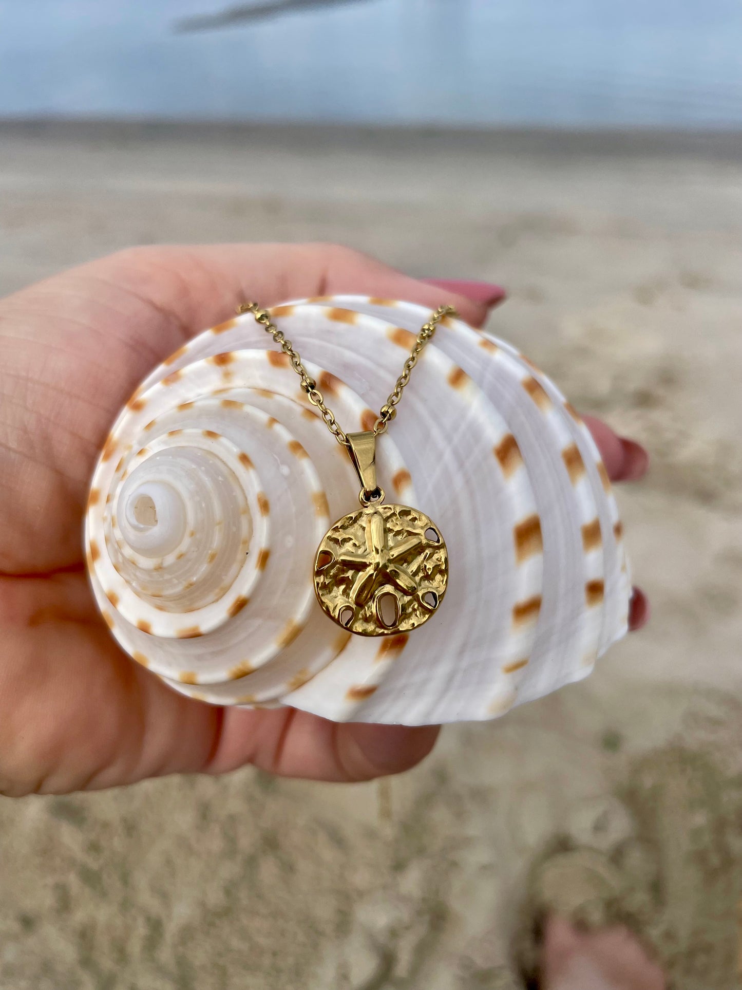 Sand Dollar pendant necklace