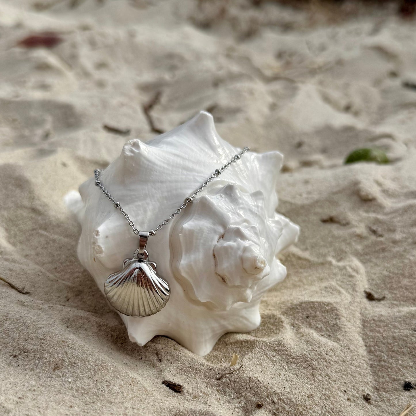 Clam Shell Necklace- Medium Pendant