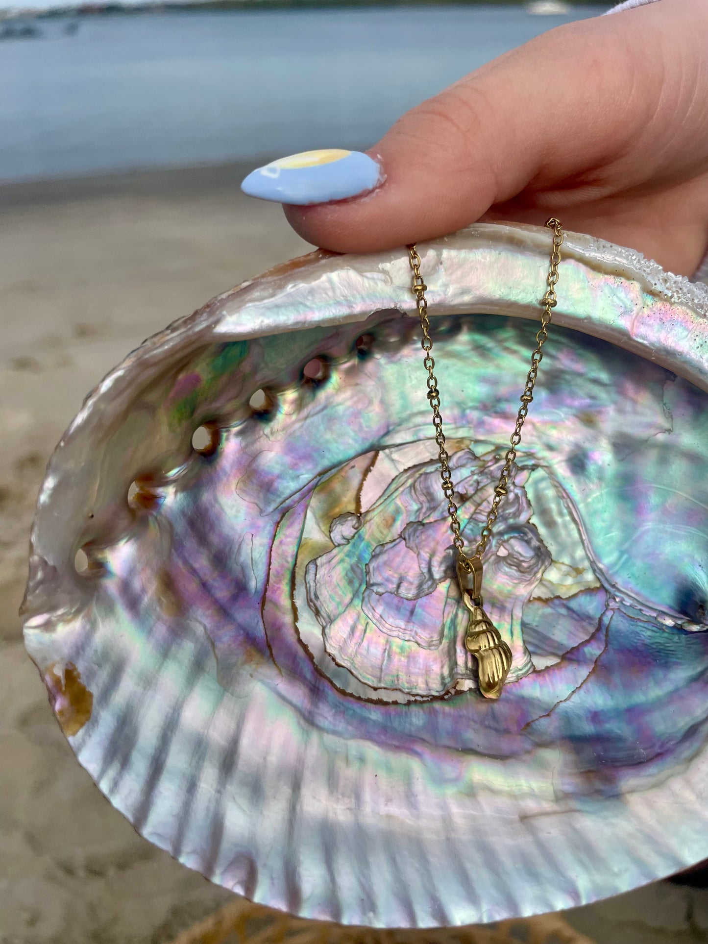 Seashell Pendant Necklace