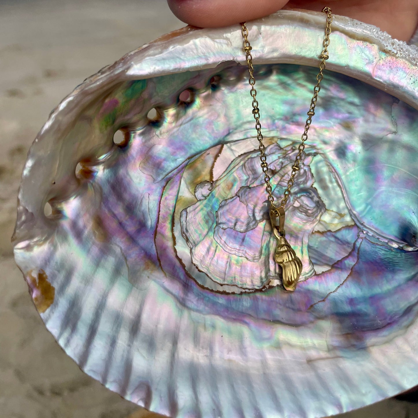 Seashell Pendant Necklace