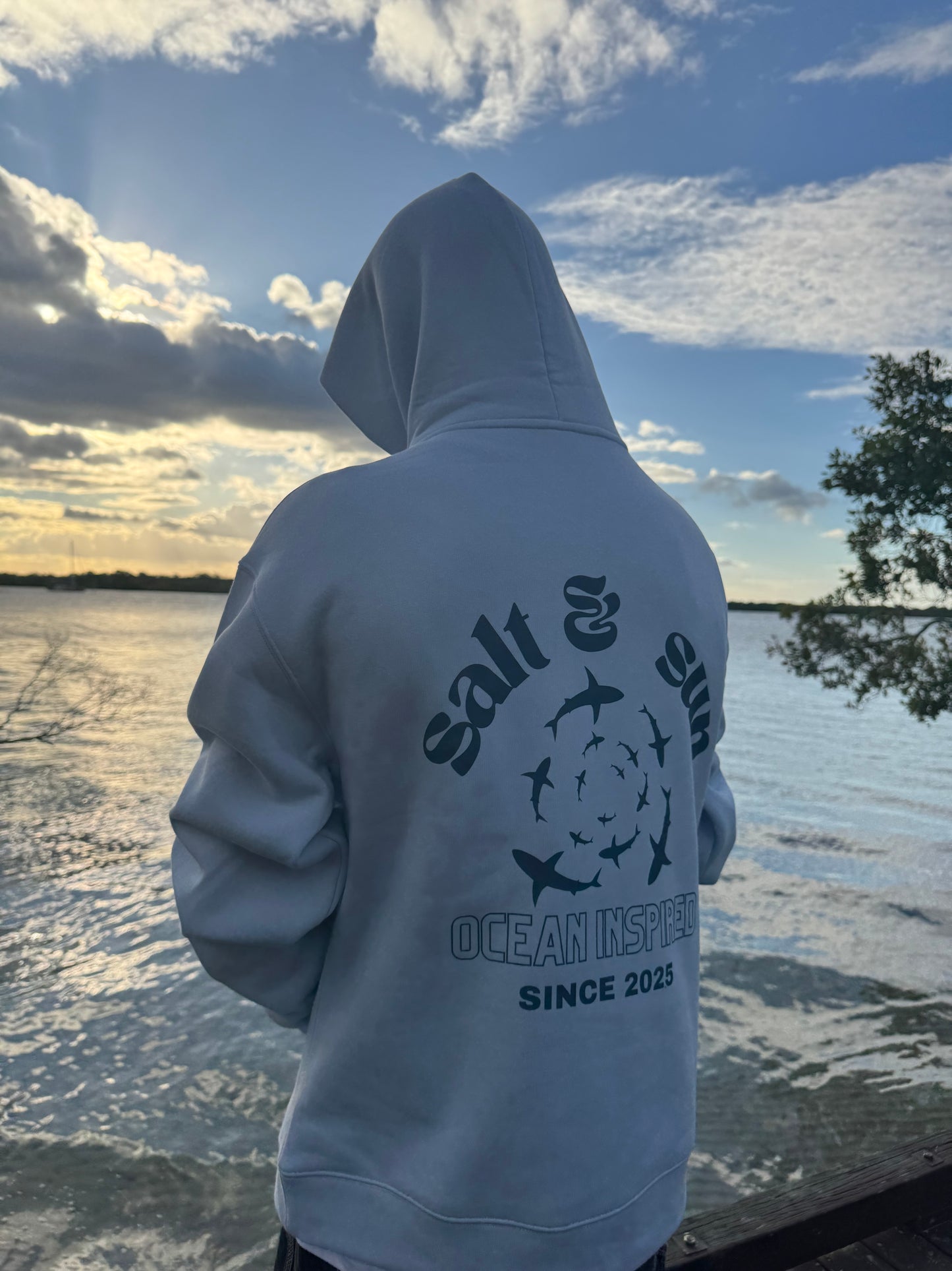 Salt and Sun TL Mens- Shark Hoodie