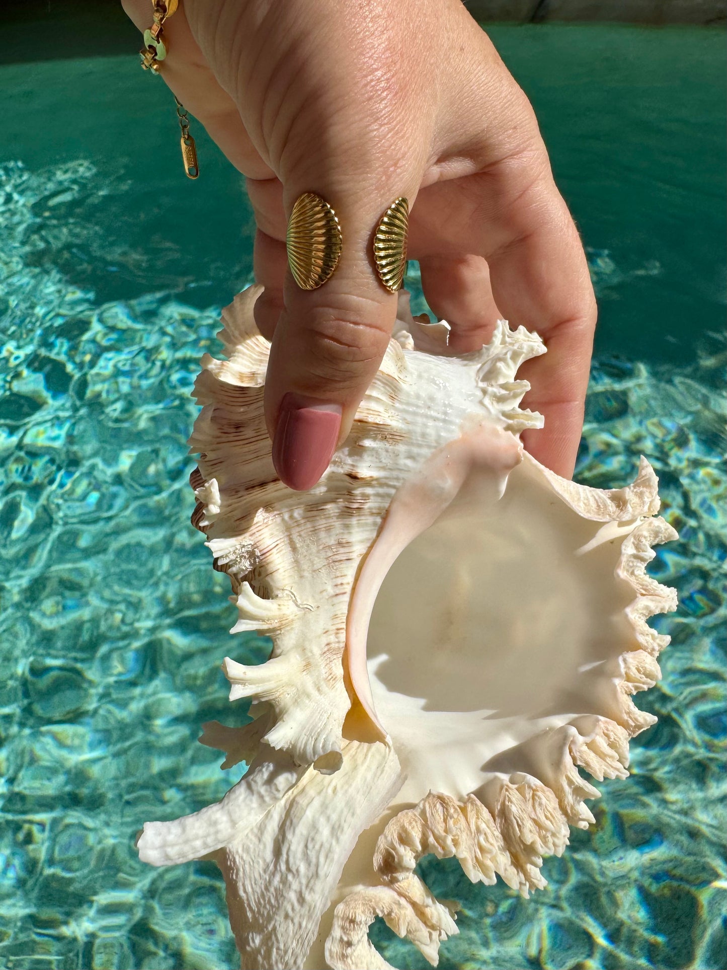 Double Shell Ring