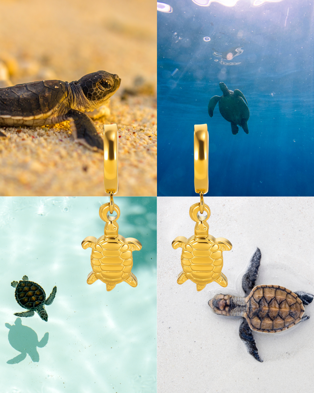 Turtle Earrings