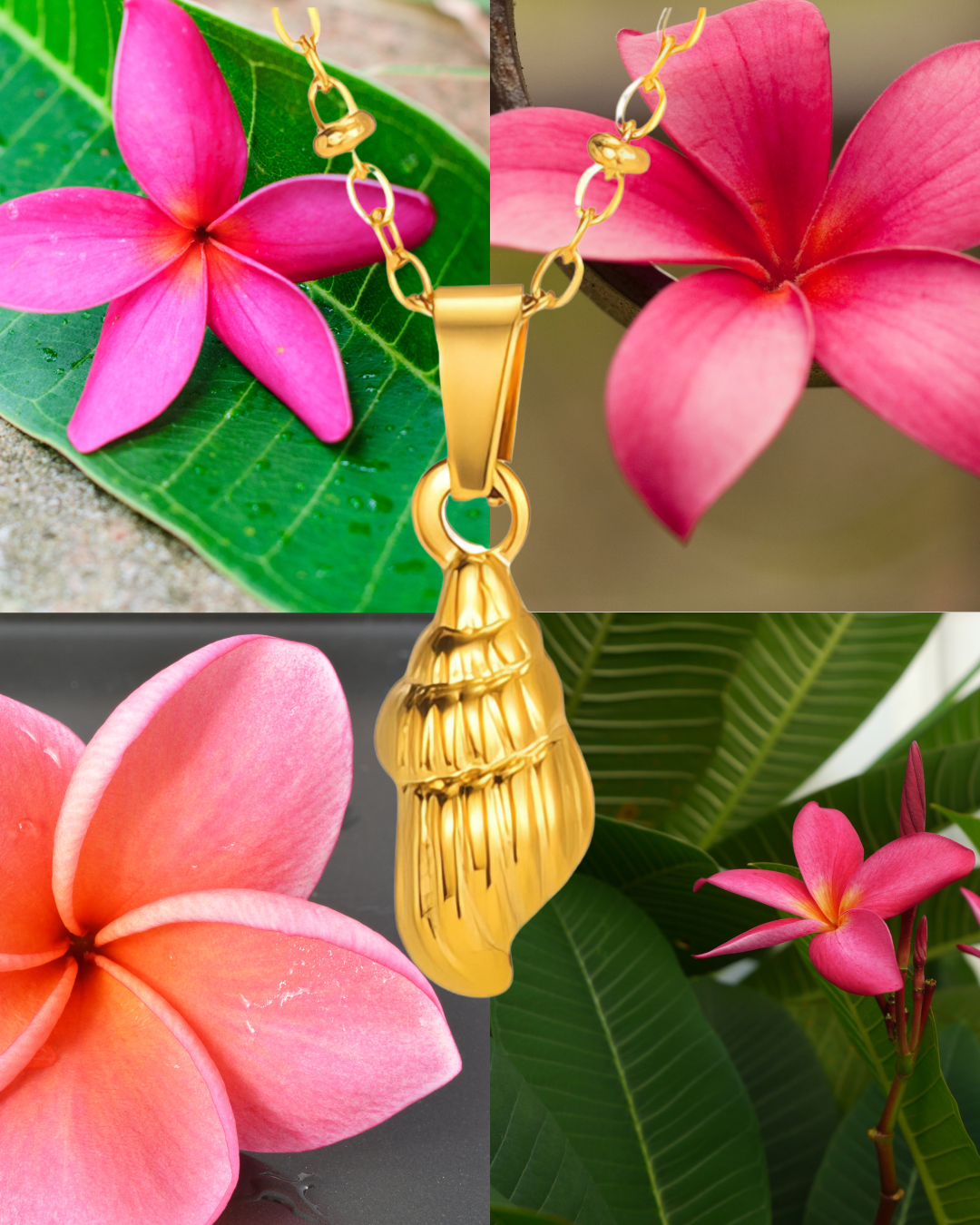 Seashell Pendant Necklace