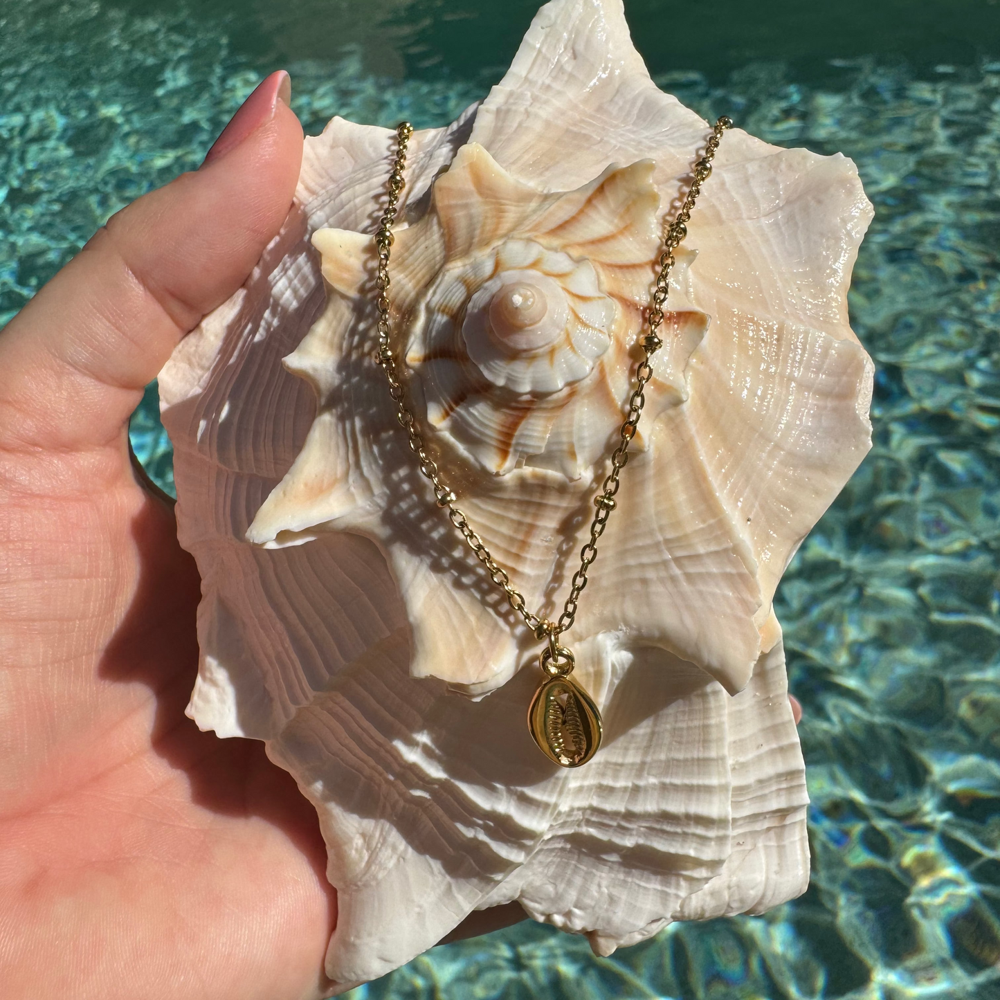 Cowrie Shell Necklace