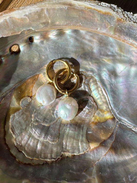 Freshwater Coin Pearl Earrings- Medium