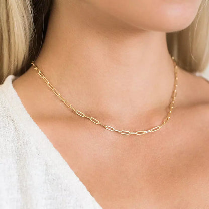 Paperclip Necklace