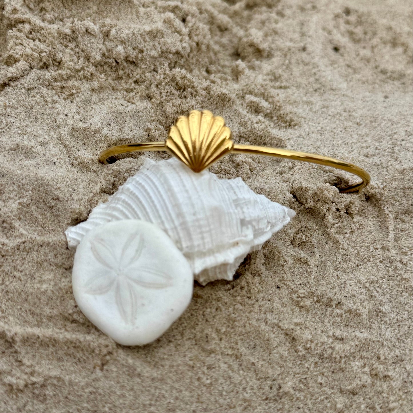 Seashell Fine Bangle