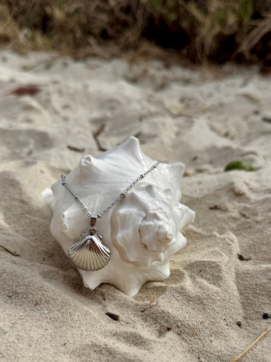 Clam Shell Necklace- Medium Pendant