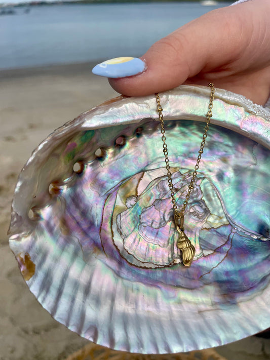 Seashell Pendant Necklace