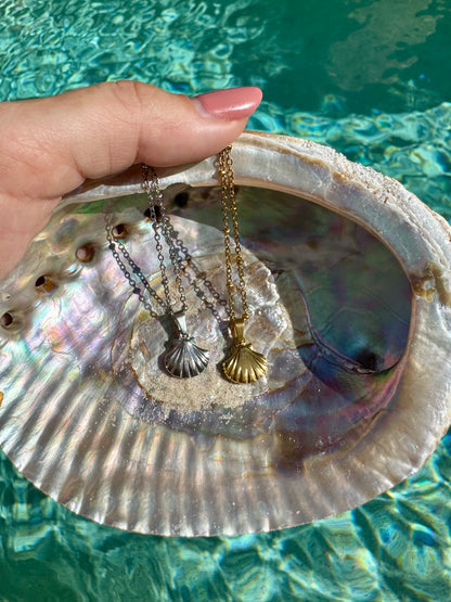 Clam Shell Necklace- Small Pendant