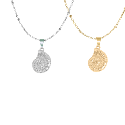 Conch Shell Necklace