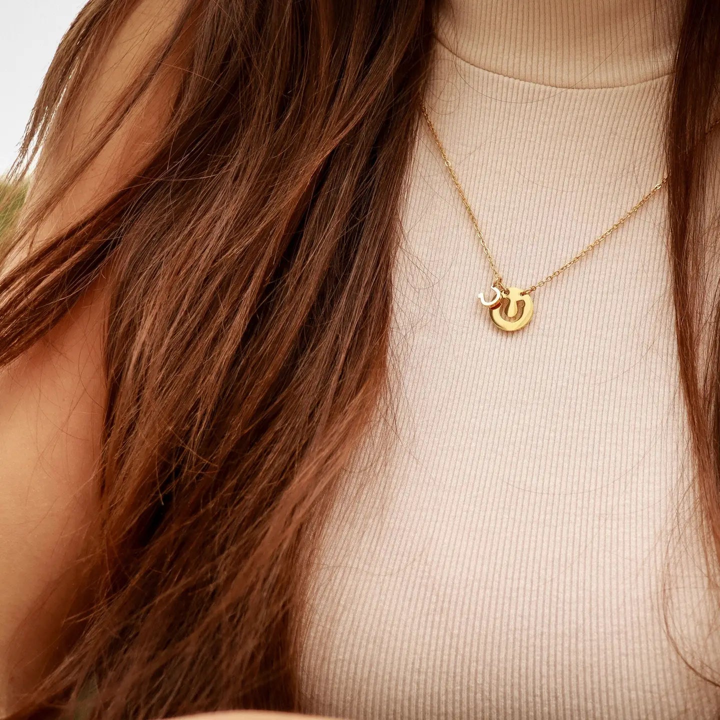 Double Horse Shoe Necklace