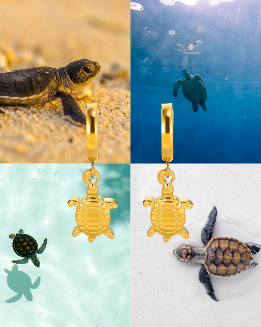 Turtle Earrings