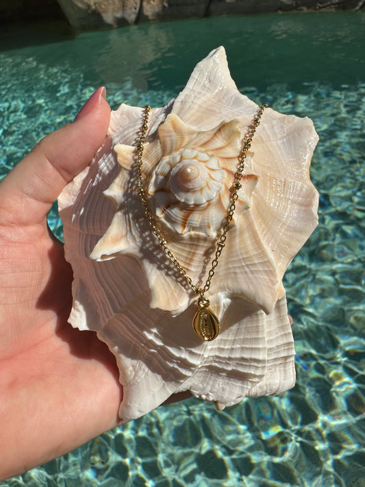 Cowrie Shell Necklace